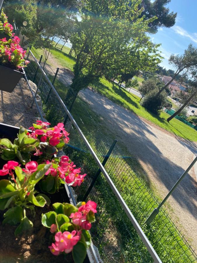 Mobile Home Biondina Camp Porton Nature Hideouts Ρόβινι Εξωτερικό φωτογραφία