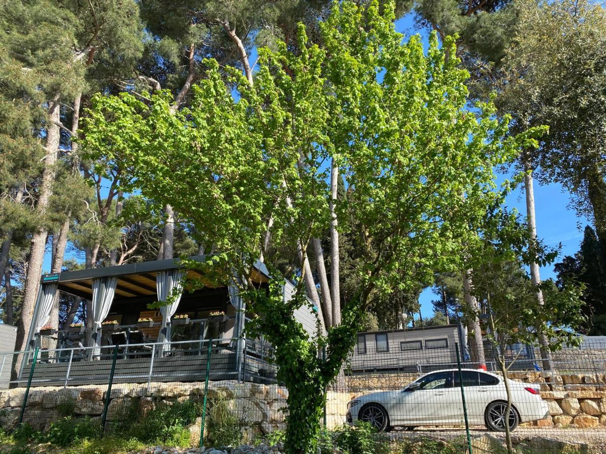 Mobile Home Biondina Camp Porton Nature Hideouts Ρόβινι Εξωτερικό φωτογραφία