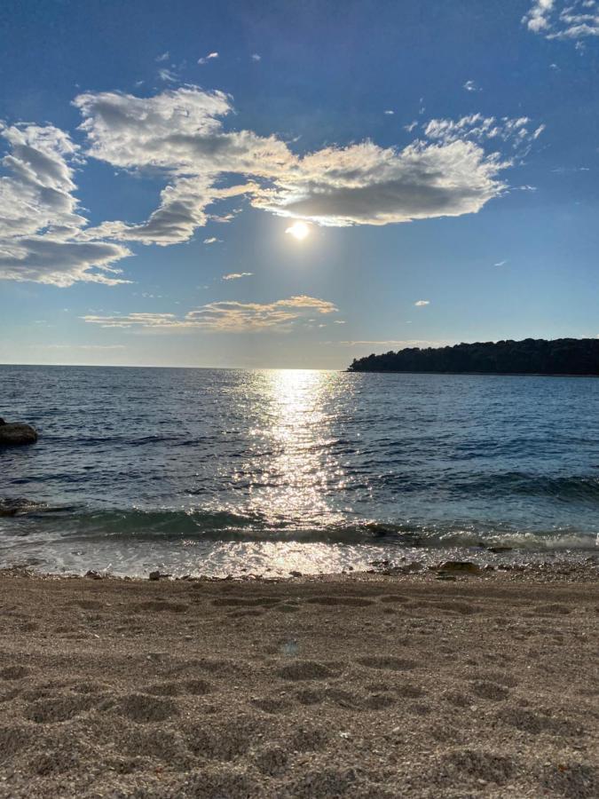 Mobile Home Biondina Camp Porton Nature Hideouts Ρόβινι Εξωτερικό φωτογραφία